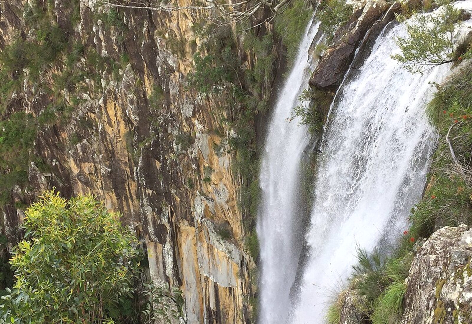 Minyon Falls dropping over a rainforest escarpment in the Byron hinterland